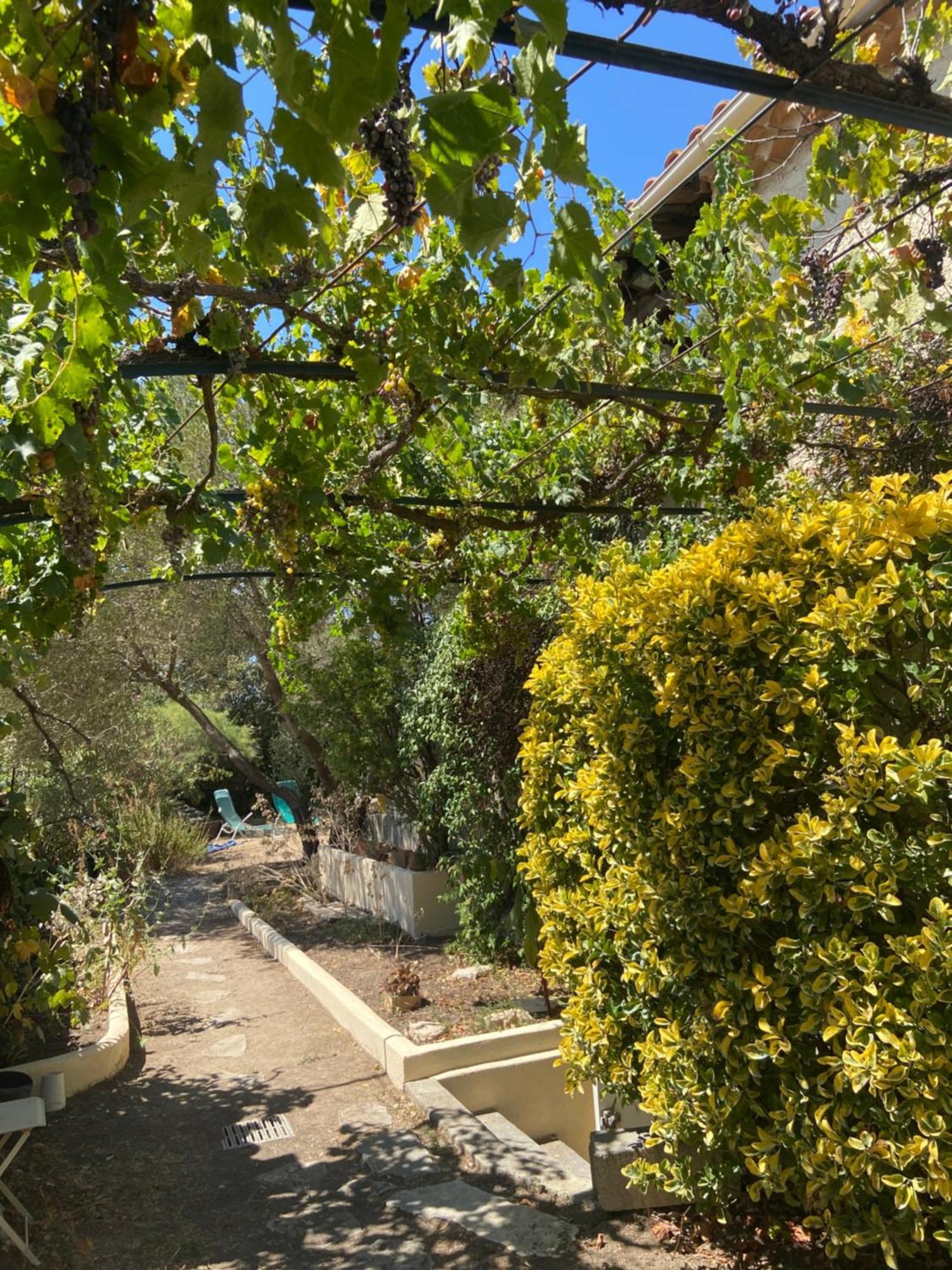 Evasion En Provence Bas De Villa Avec Jardin & Vignes, Soleil & Fraicheur Ле-Пенн-Мірабо Екстер'єр фото